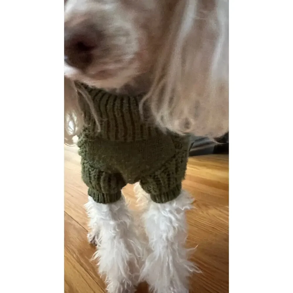 Dog Sweater Size small. Fits a small dog 7-9 pounds